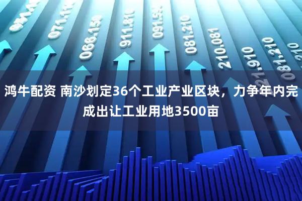 鸿牛配资 南沙划定36个工业产业区块，力争年内完成出让工业用地3500亩