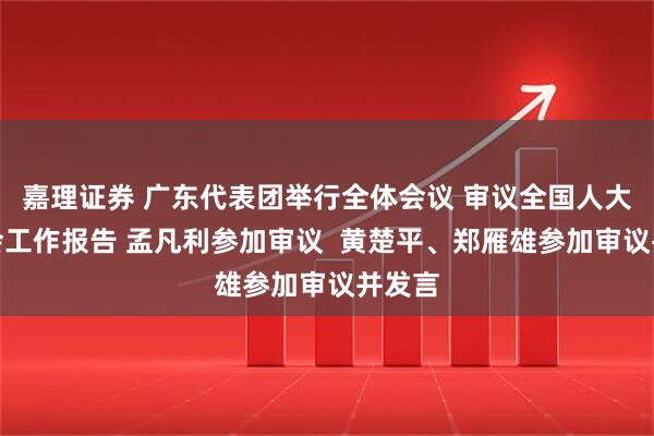 嘉理证券 广东代表团举行全体会议 审议全国人大常委会工作报告 孟凡利参加审议  黄楚平、郑雁雄参加审议并发言