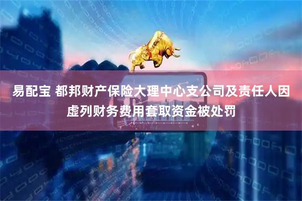 易配宝 都邦财产保险大理中心支公司及责任人因虚列财务费用套取资金被处罚