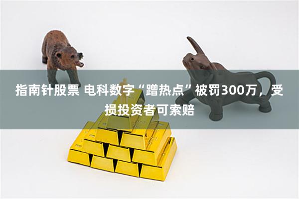 指南针股票 电科数字“蹭热点”被罚300万，受损投资者可索赔