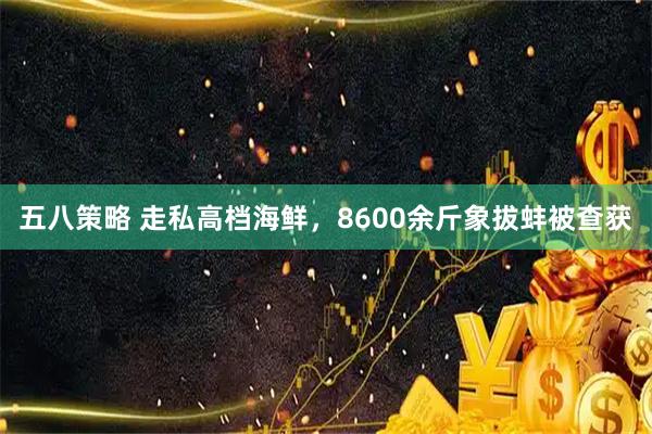 五八策略 走私高档海鲜，8600余斤象拔蚌被查获