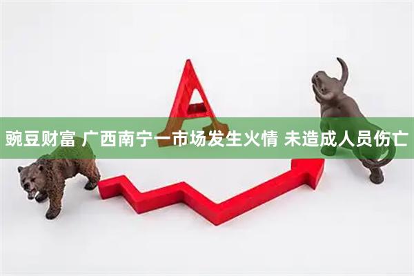 豌豆财富 广西南宁一市场发生火情 未造成人员伤亡